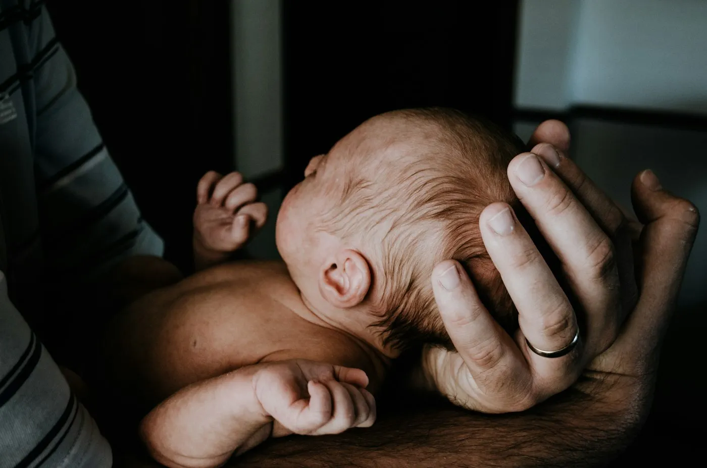 A newborn sleeping in a parent’s hand
